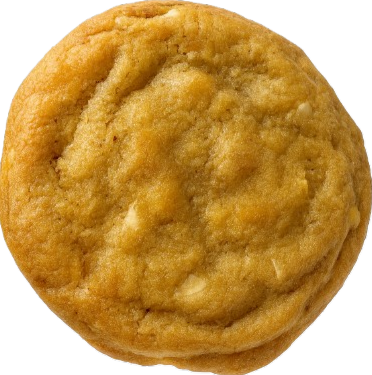 Arctic Chip! — White Chocolate Chip & Macadamia Nuts